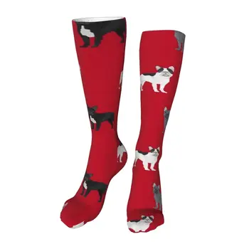 Новые носки для лодыжек из ткани French Bulldog, унисекс, носки до середины икры, толстые трикотажные мягкие повседневные носки